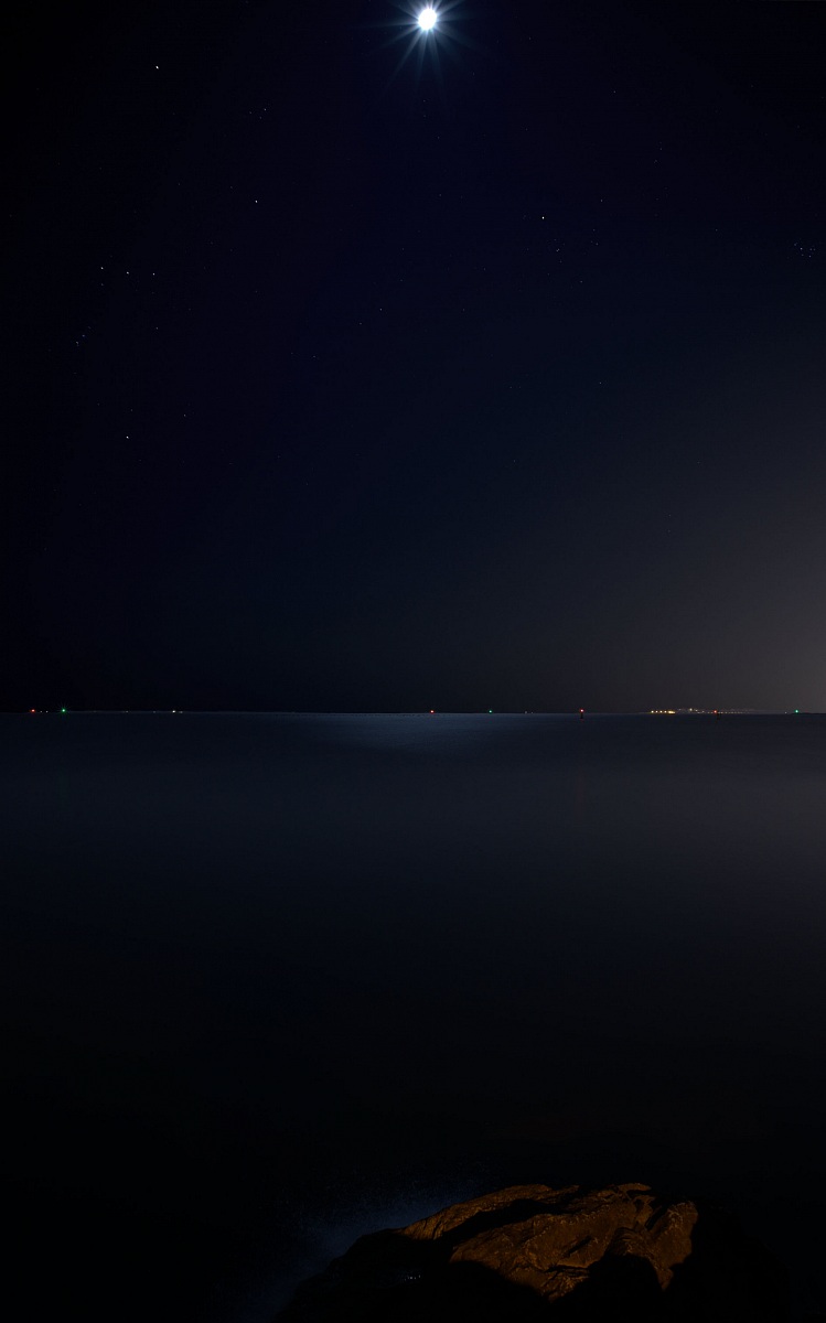 Looking at the sea in the moonlight