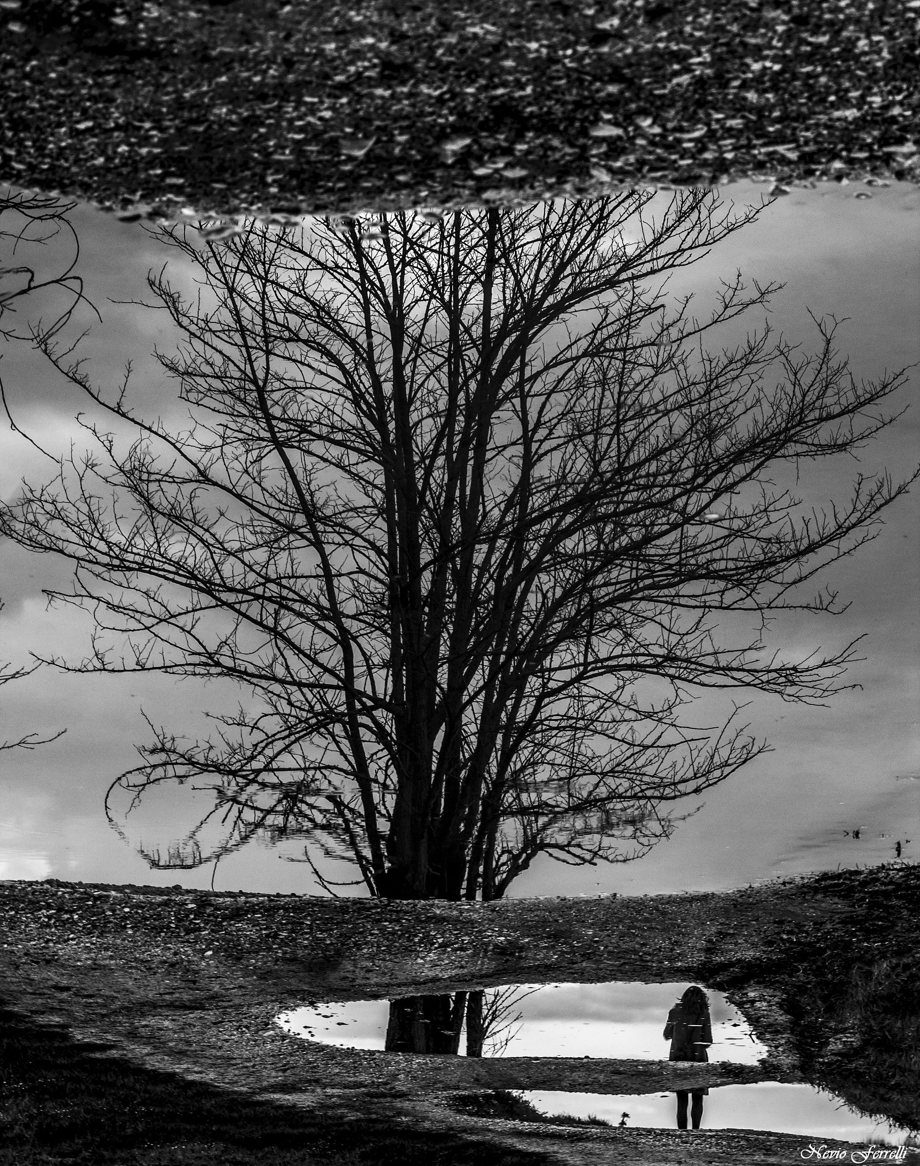 Riflessi e riflessioni