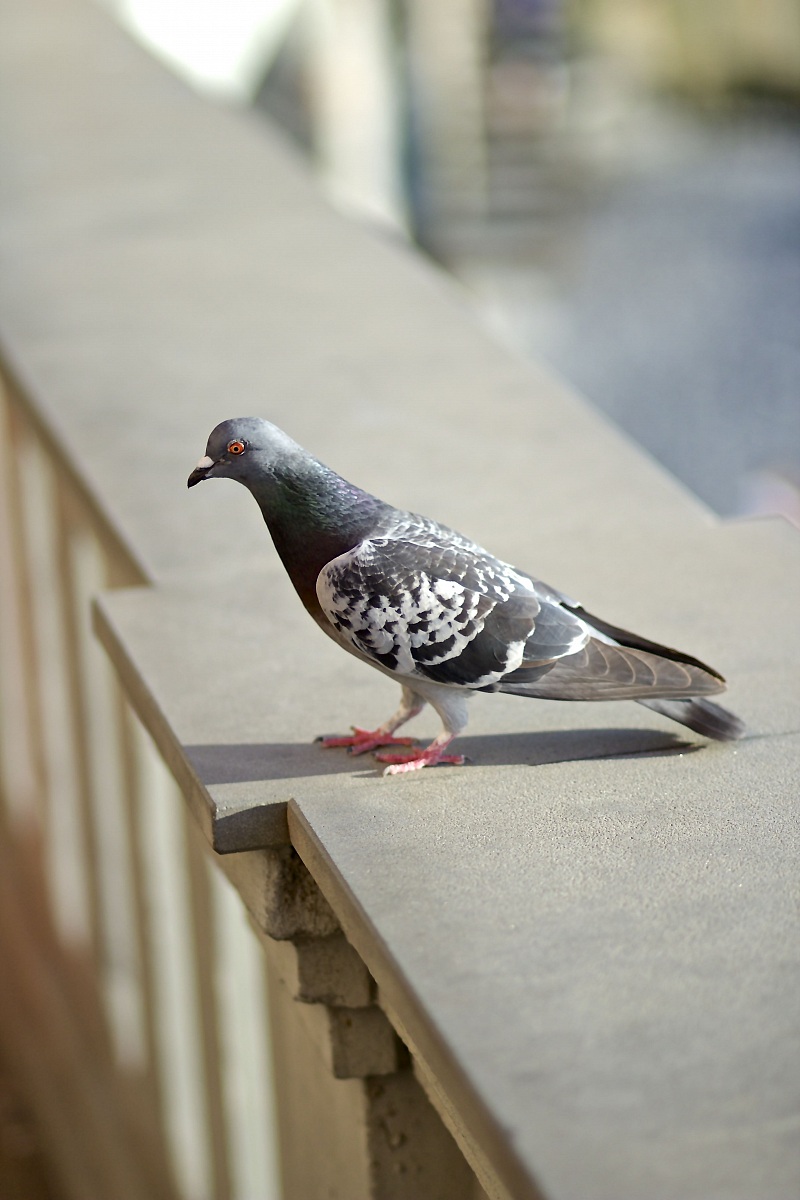 Mo now I'm leaving ..