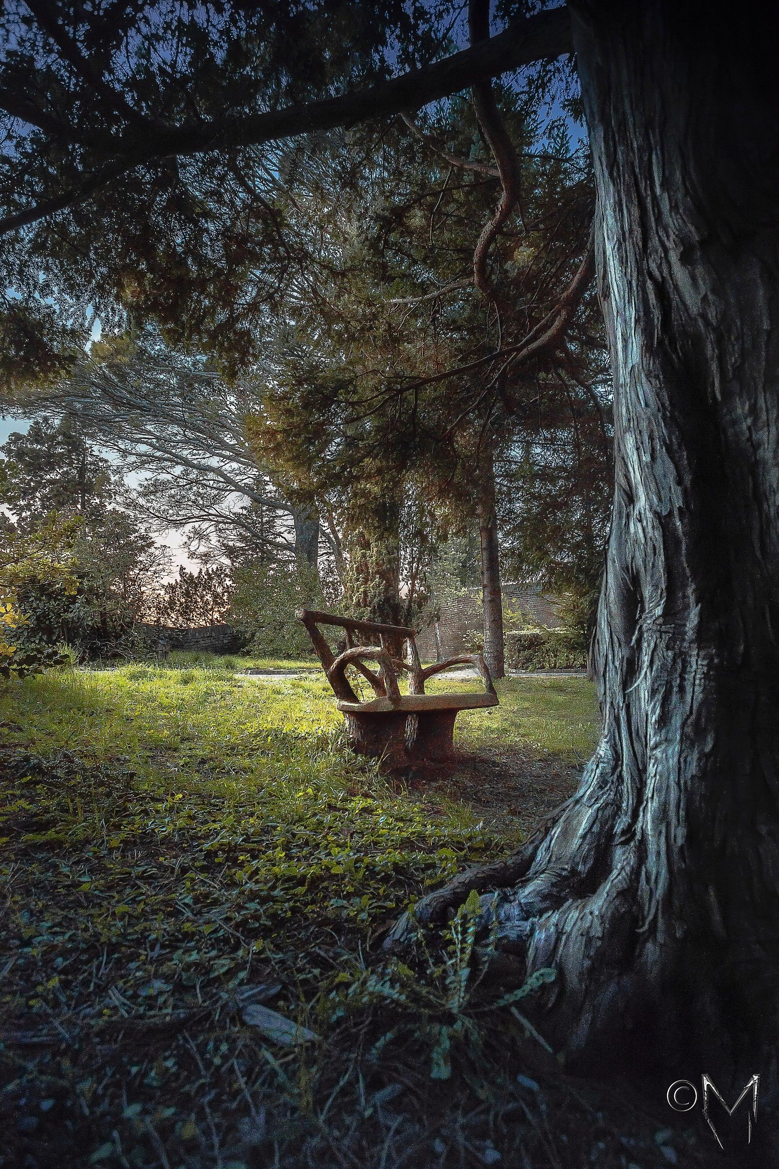 A dream in a garden..