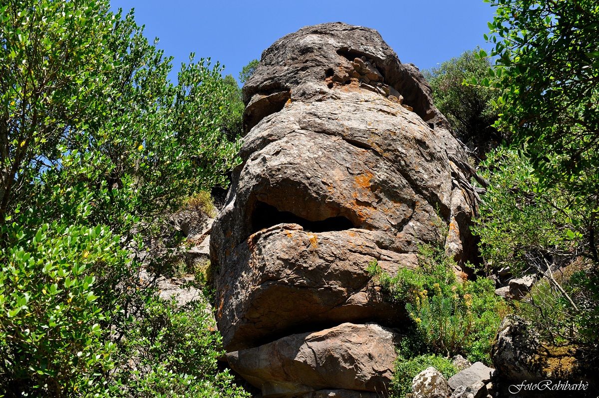 The mask of stone ...