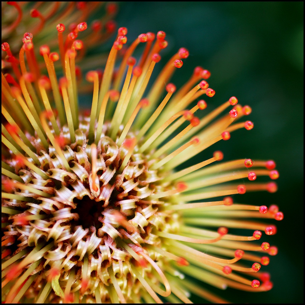 Explosion
