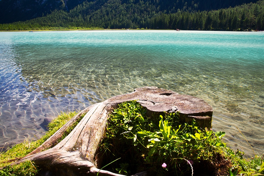 Lago di Dobbiaco 2