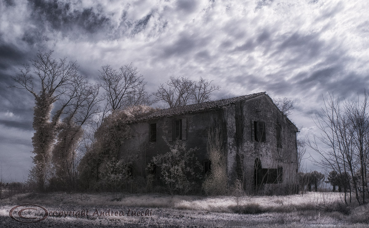 vecchio rudere con edera