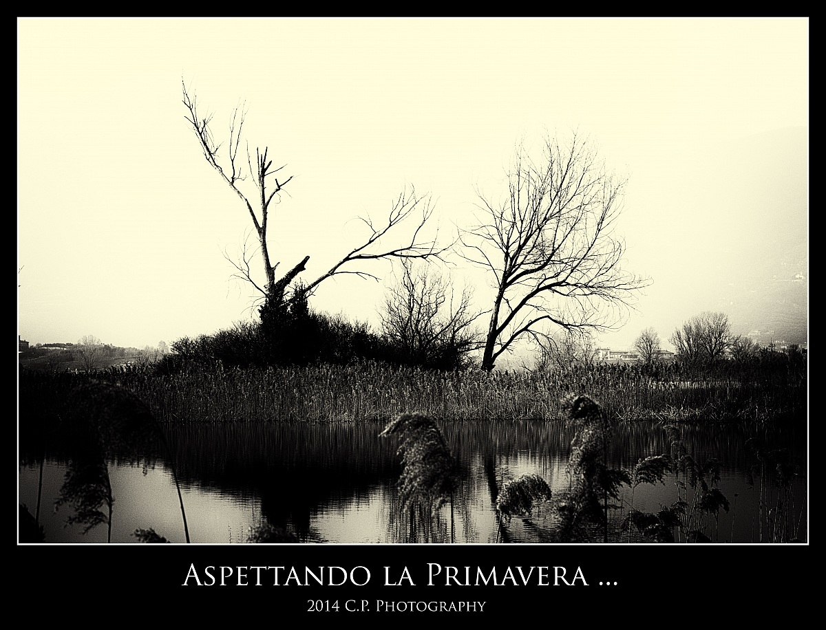 Aspettando la primavera!!