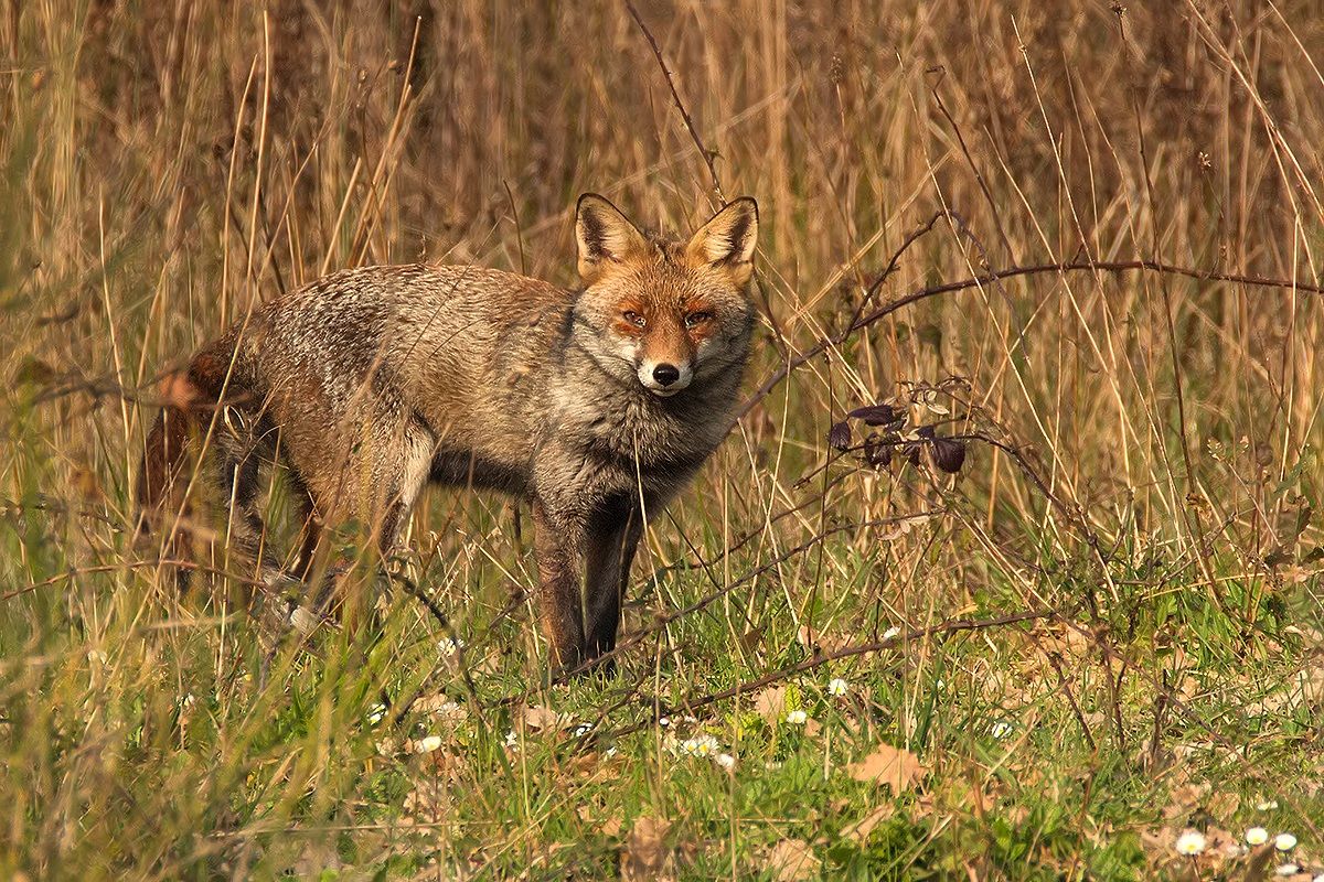 Towards evening ....