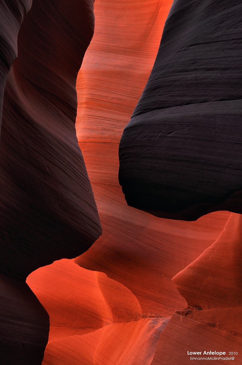 profiles in comparison