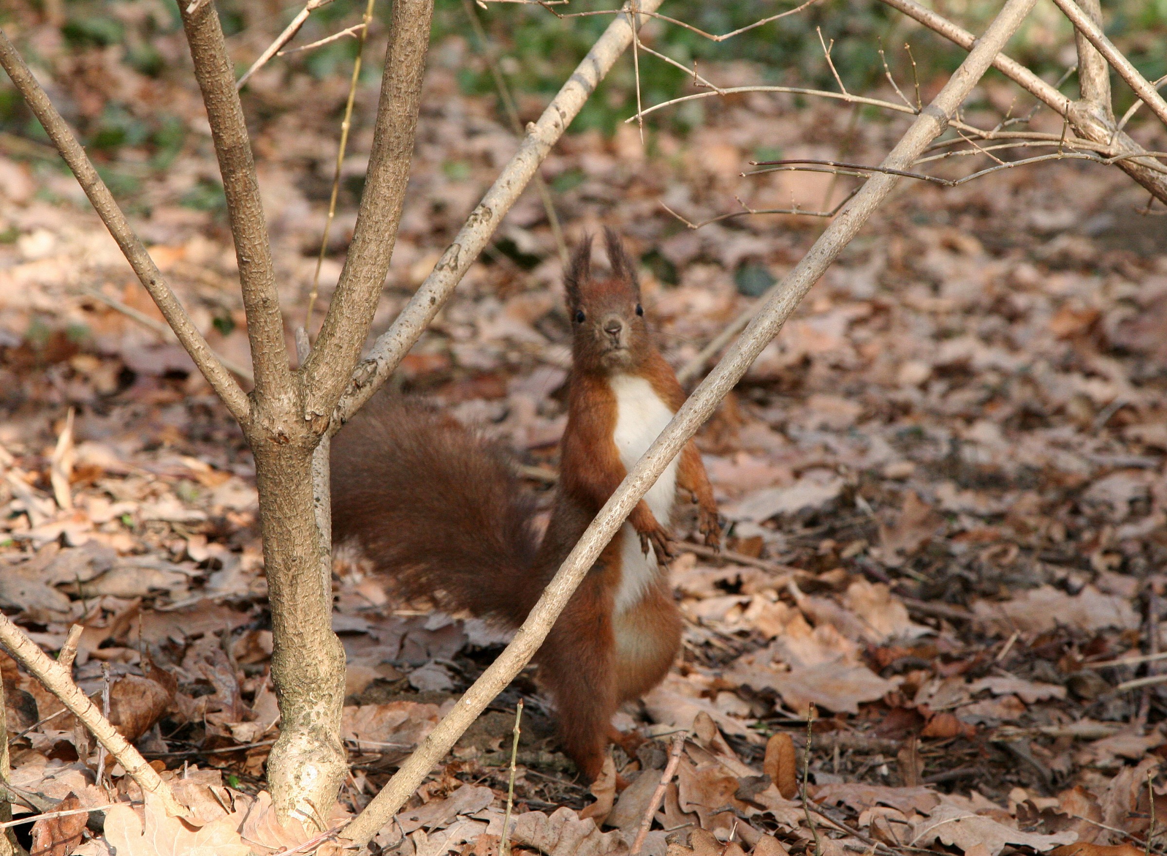 Oh Oh ... I got caught