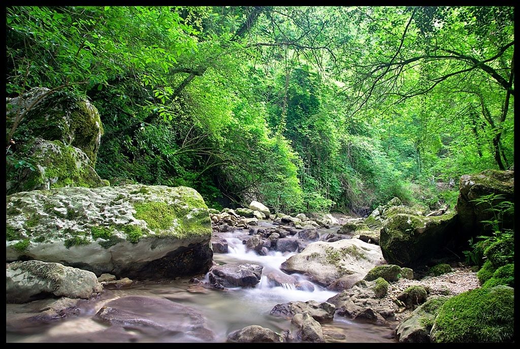 Parco delle cascate di Molina (vr) #1