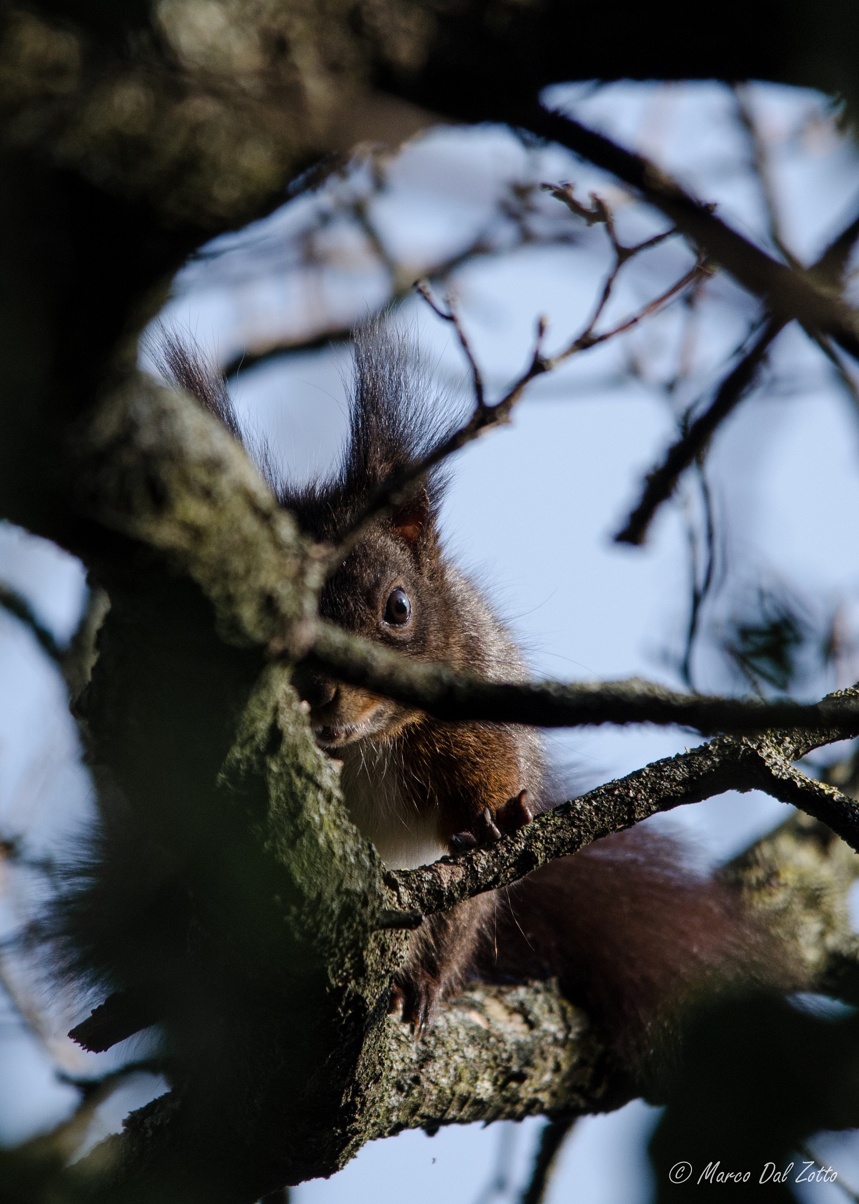 Ti ho visto che mi hai visto