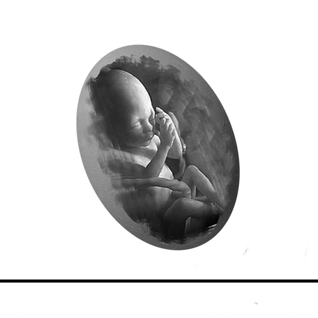 the evolution of man