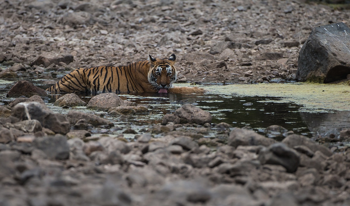 and finally 'arrived