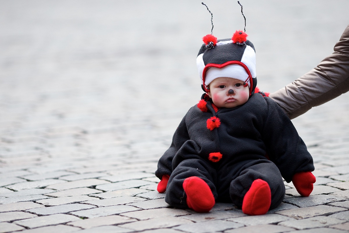 Coccinella alla Grand Place