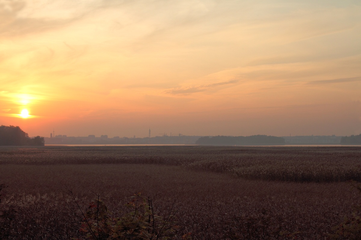 From a cycling round