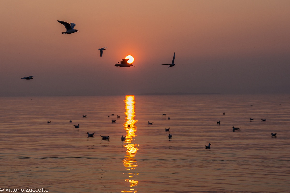 Sunset on Lake Garda