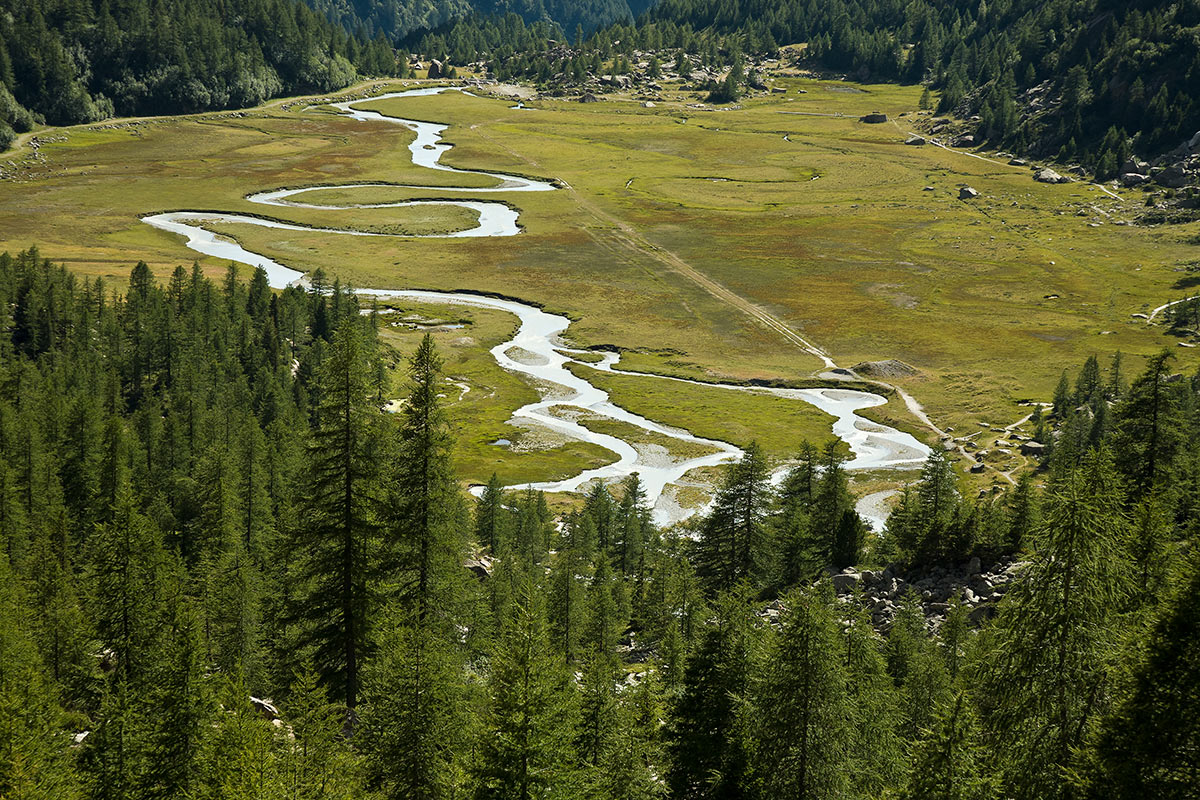 Piana di Preda Rossa, Val Masino (prov. Sondrio)