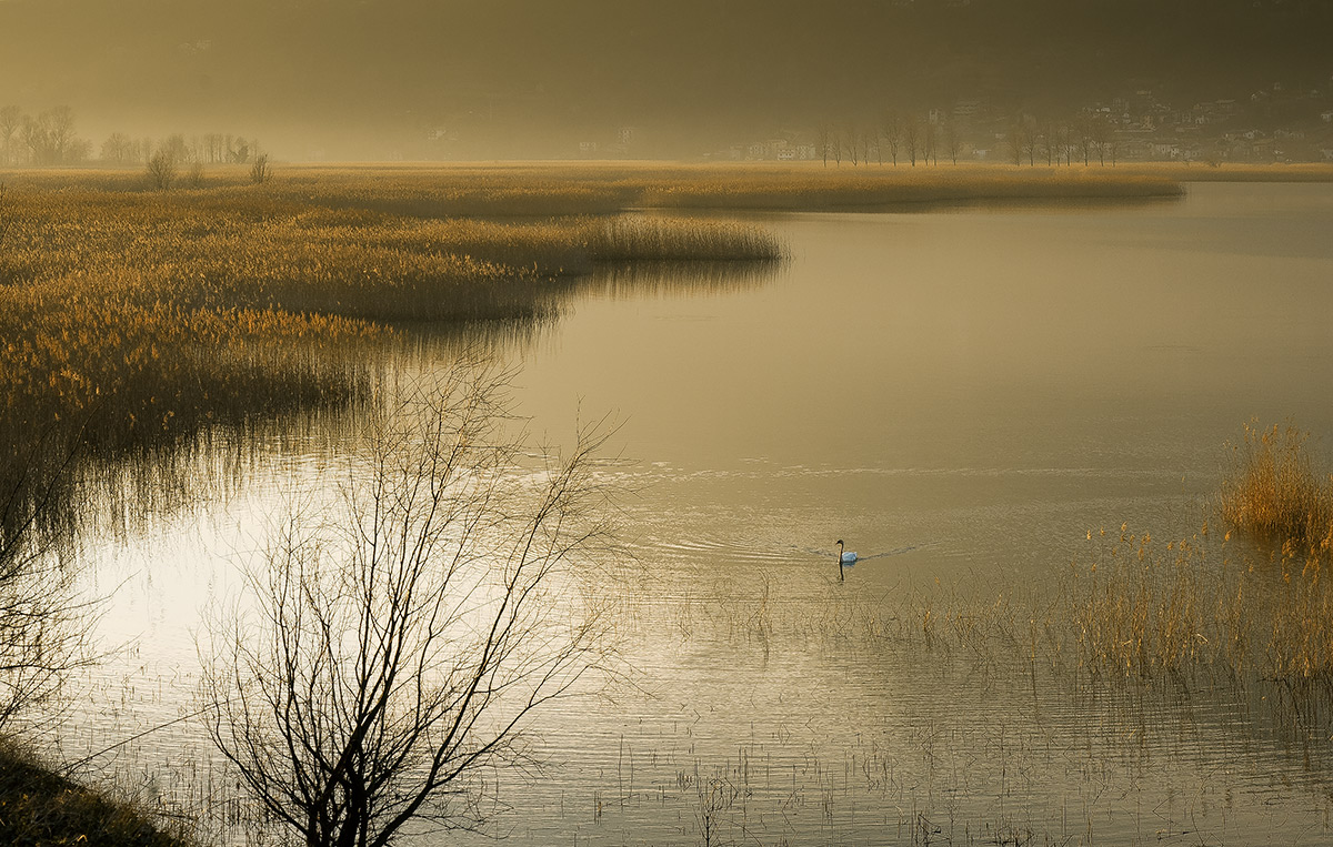 Pian di Spagna, Verceia (prov. Sondrio)
