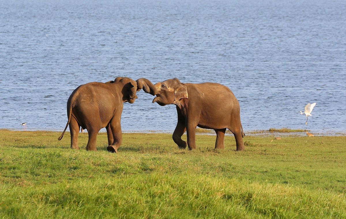 Games between children