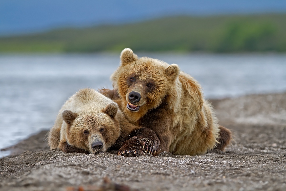 That breaking these paparazzi!