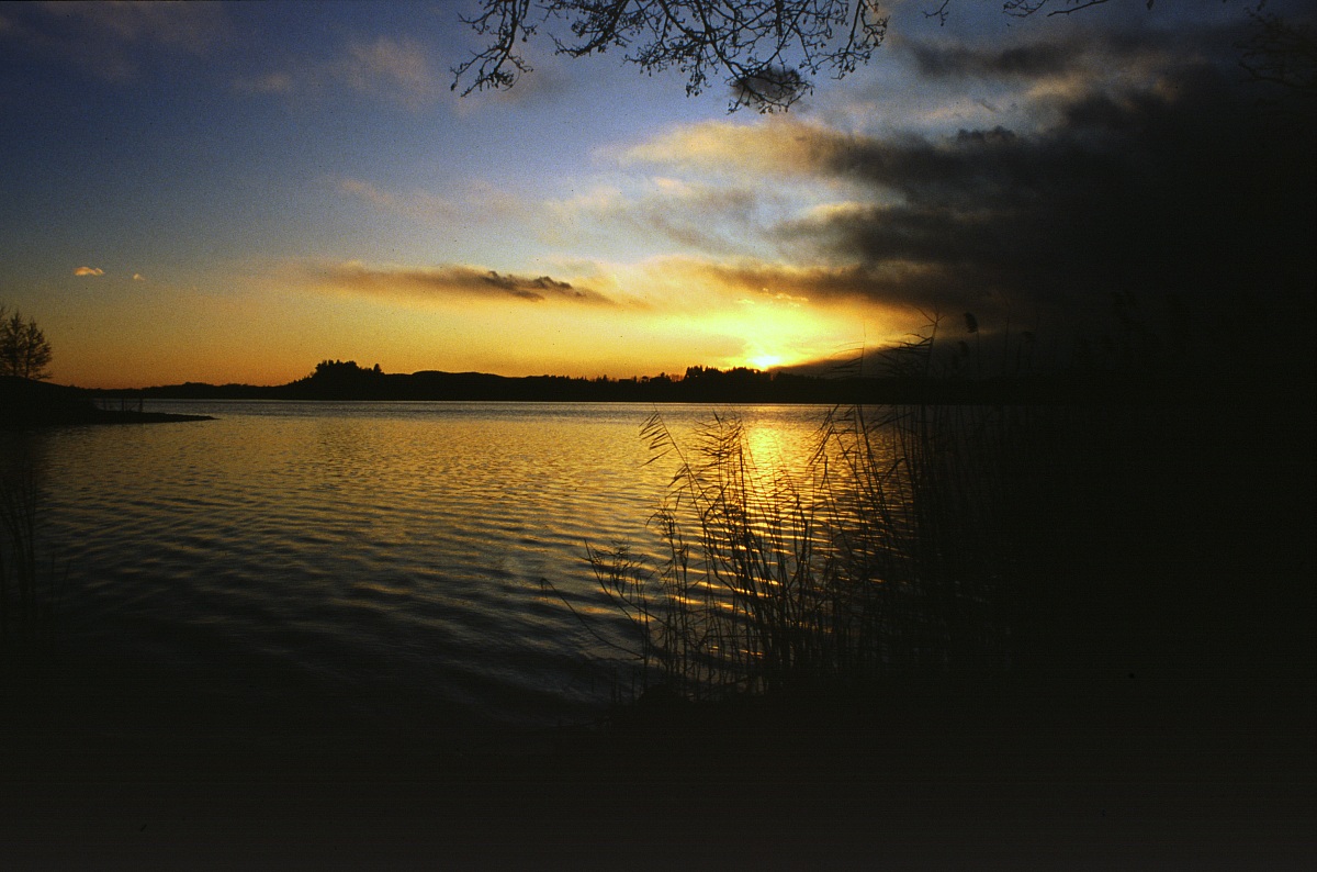 Sunset towards Gavirate