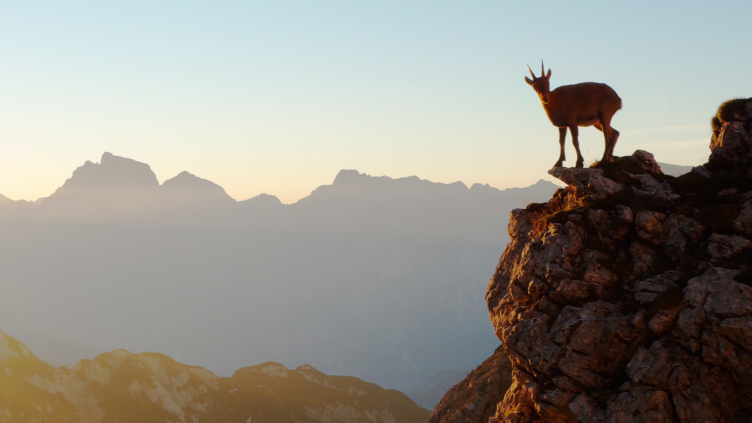 Good morning Riobianco