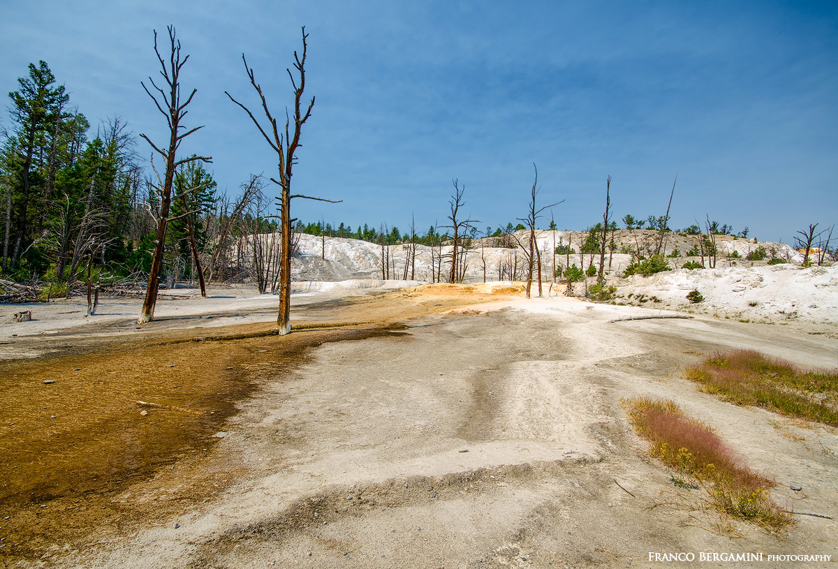 Mammoth Hot Springs 2, Yellowstone