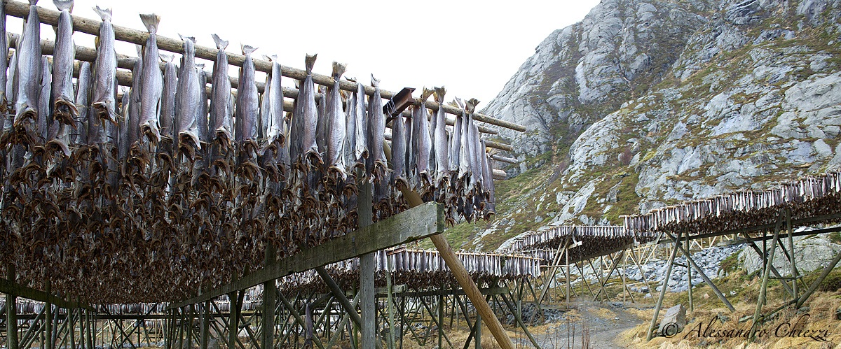Stockfish 2