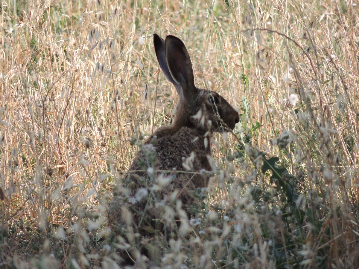 ..... ma per sentirti meglio