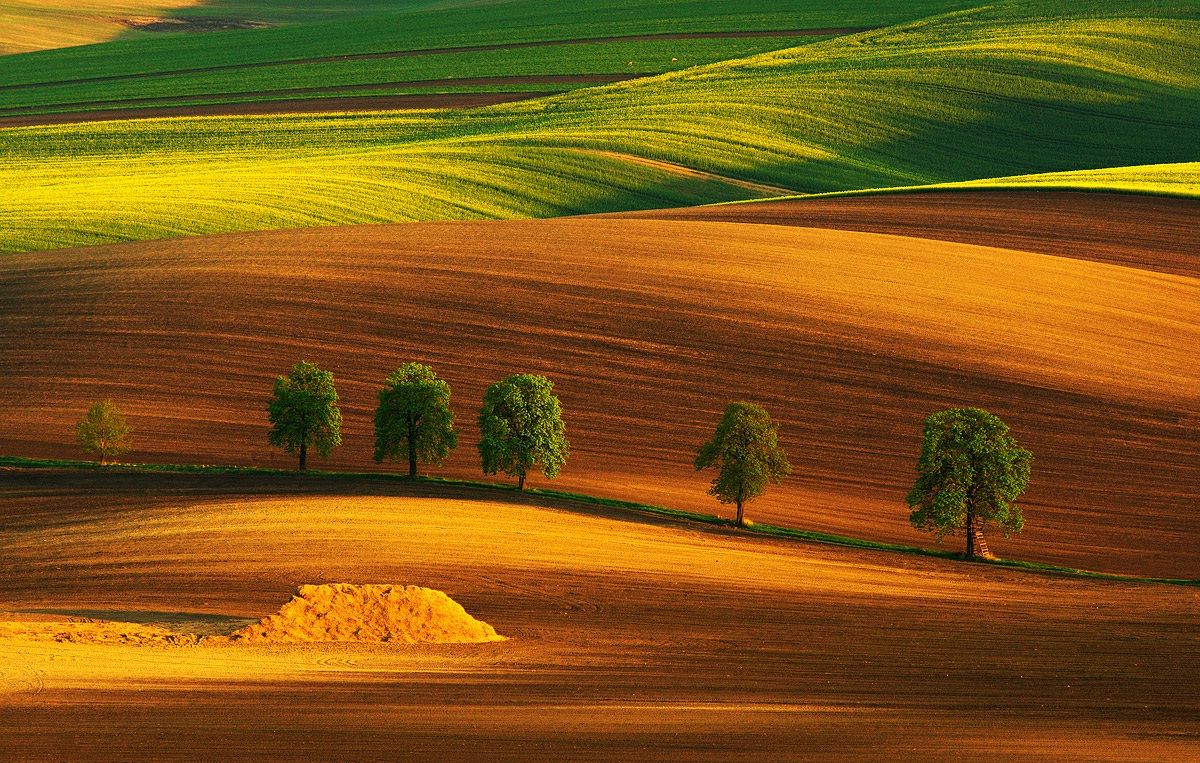 Primavera nel vicolo di castagno