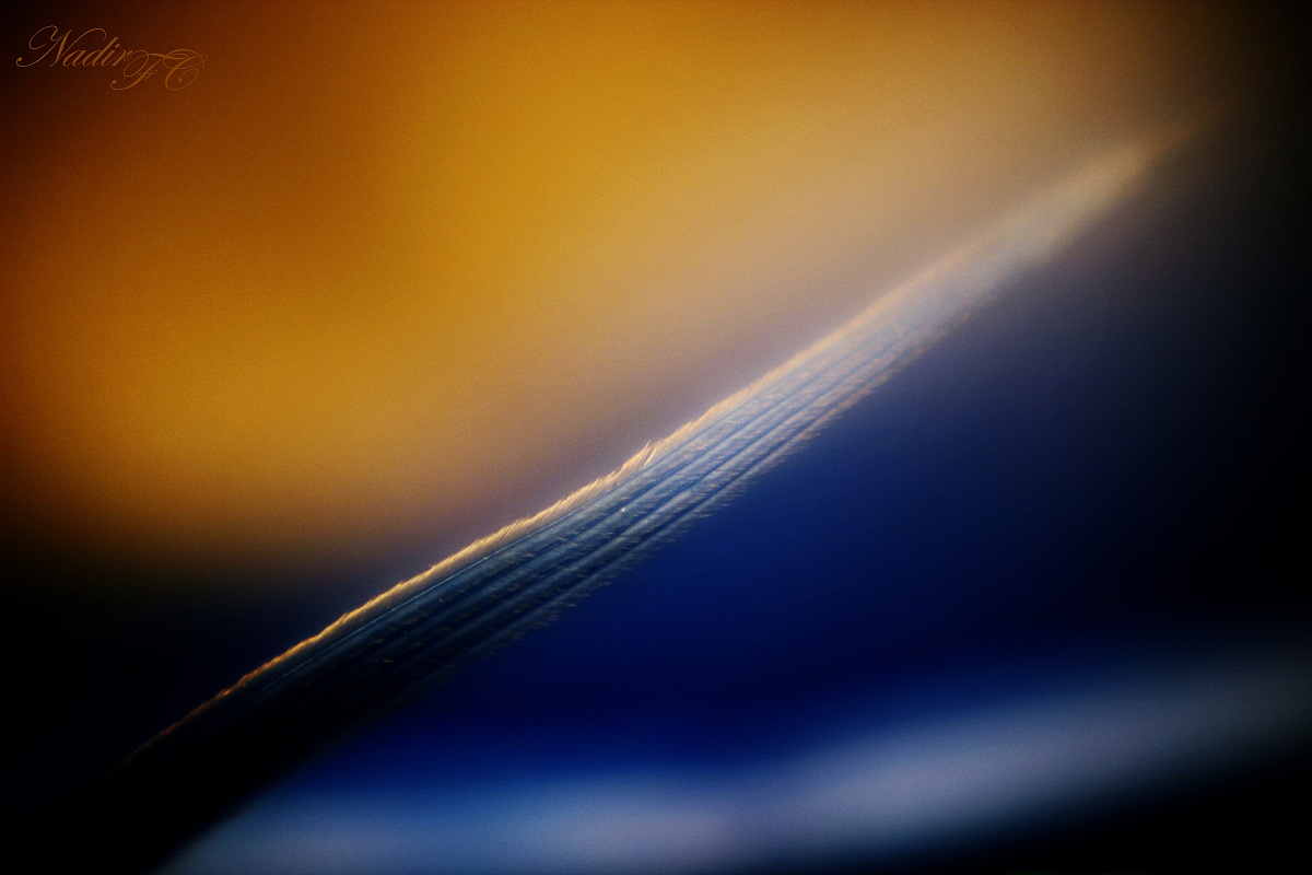 the dark side of the feather ..