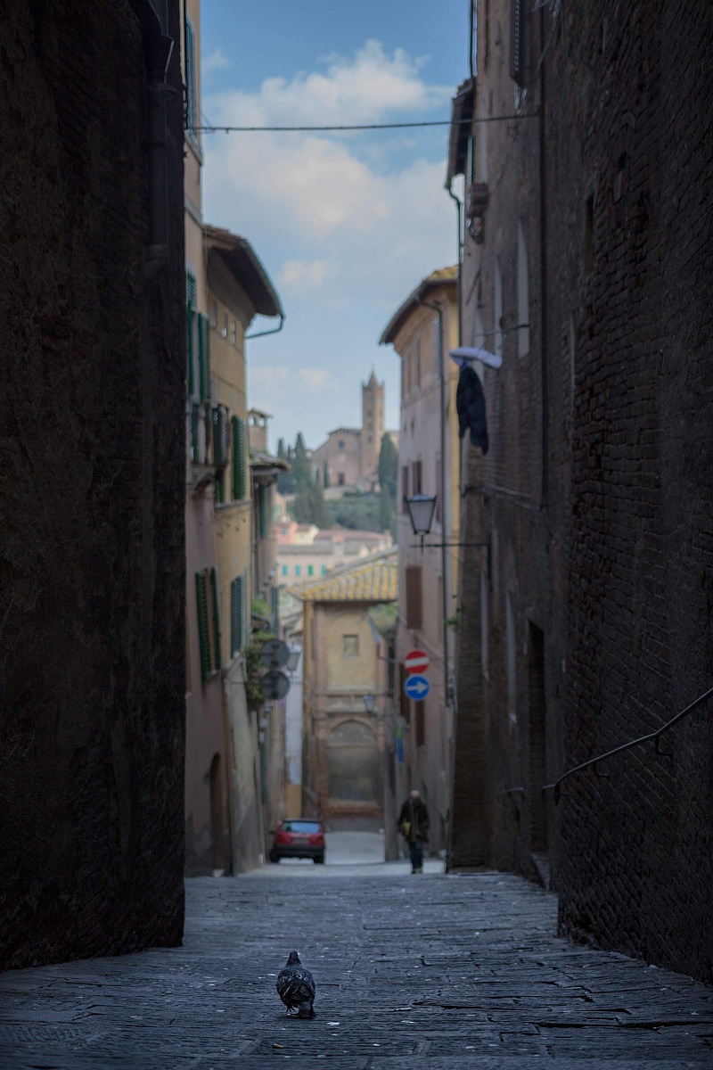 Vicolo senese