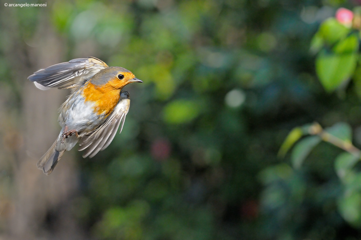 See you in October! thanks and photos!