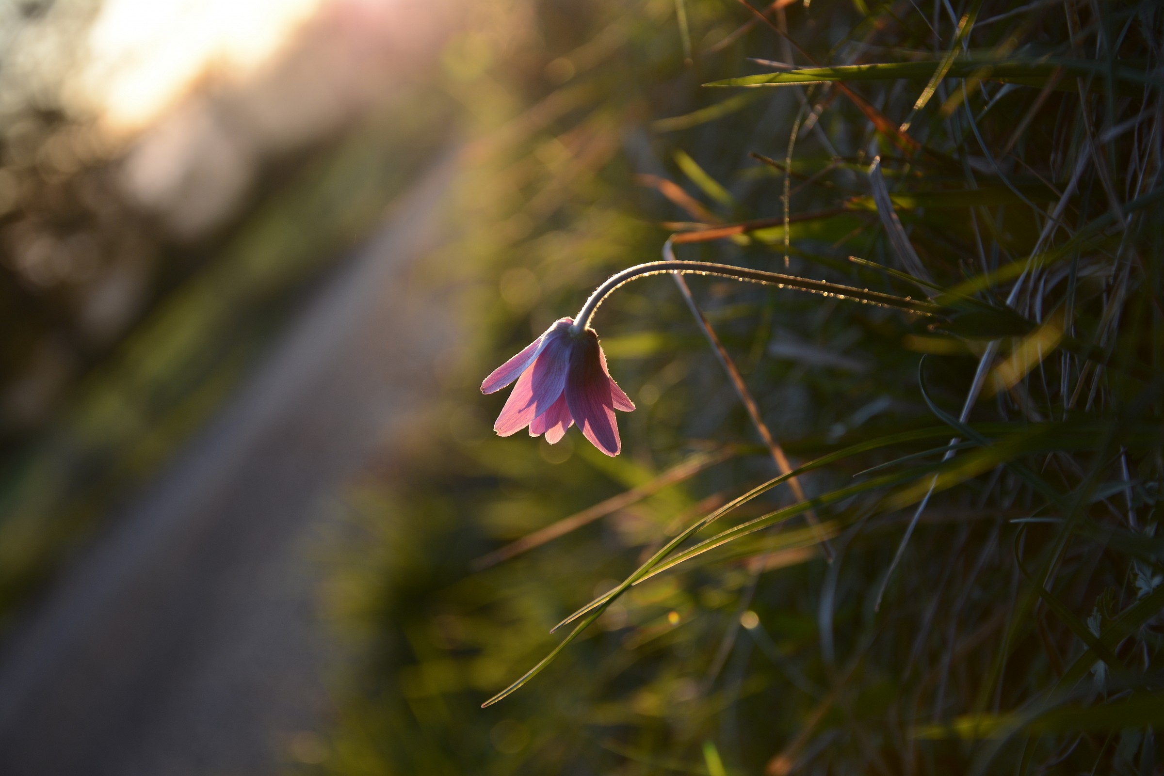 ...sul far della sera