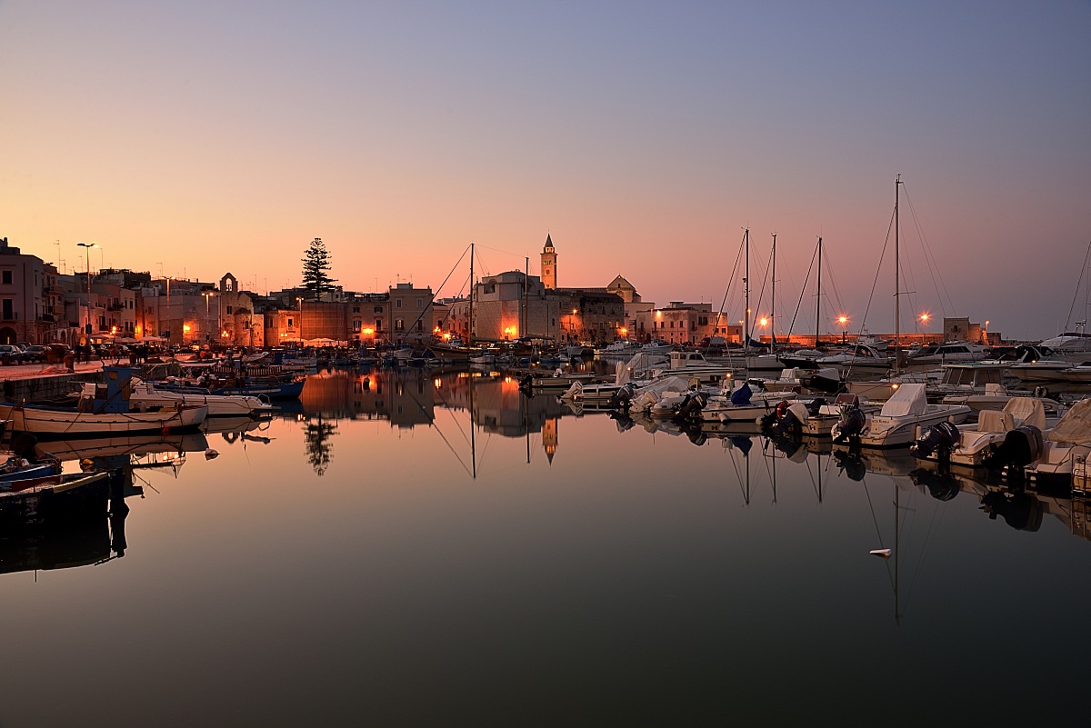 Dock of Trani (BT)