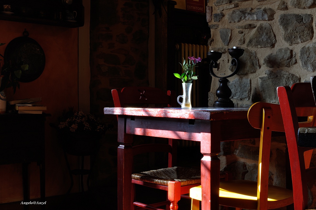 The sun kisses the flowers ....