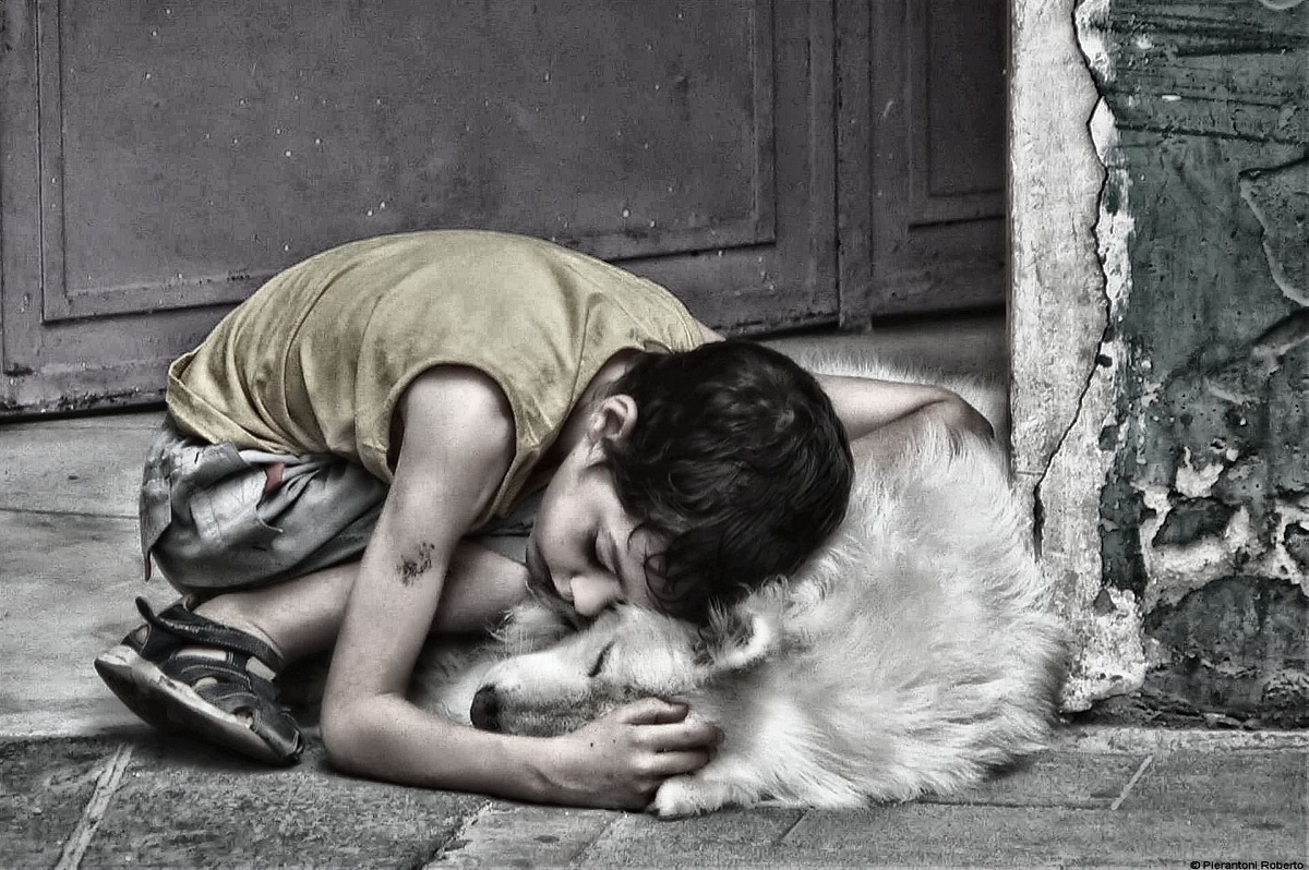 Dreaming together altra elaborazione