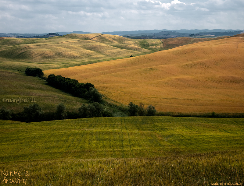 Tuscany Colors