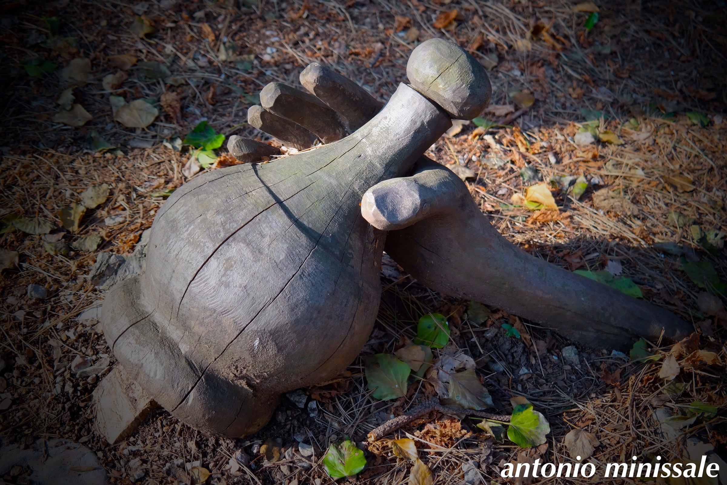 Canzo (co), the path of the gnomes