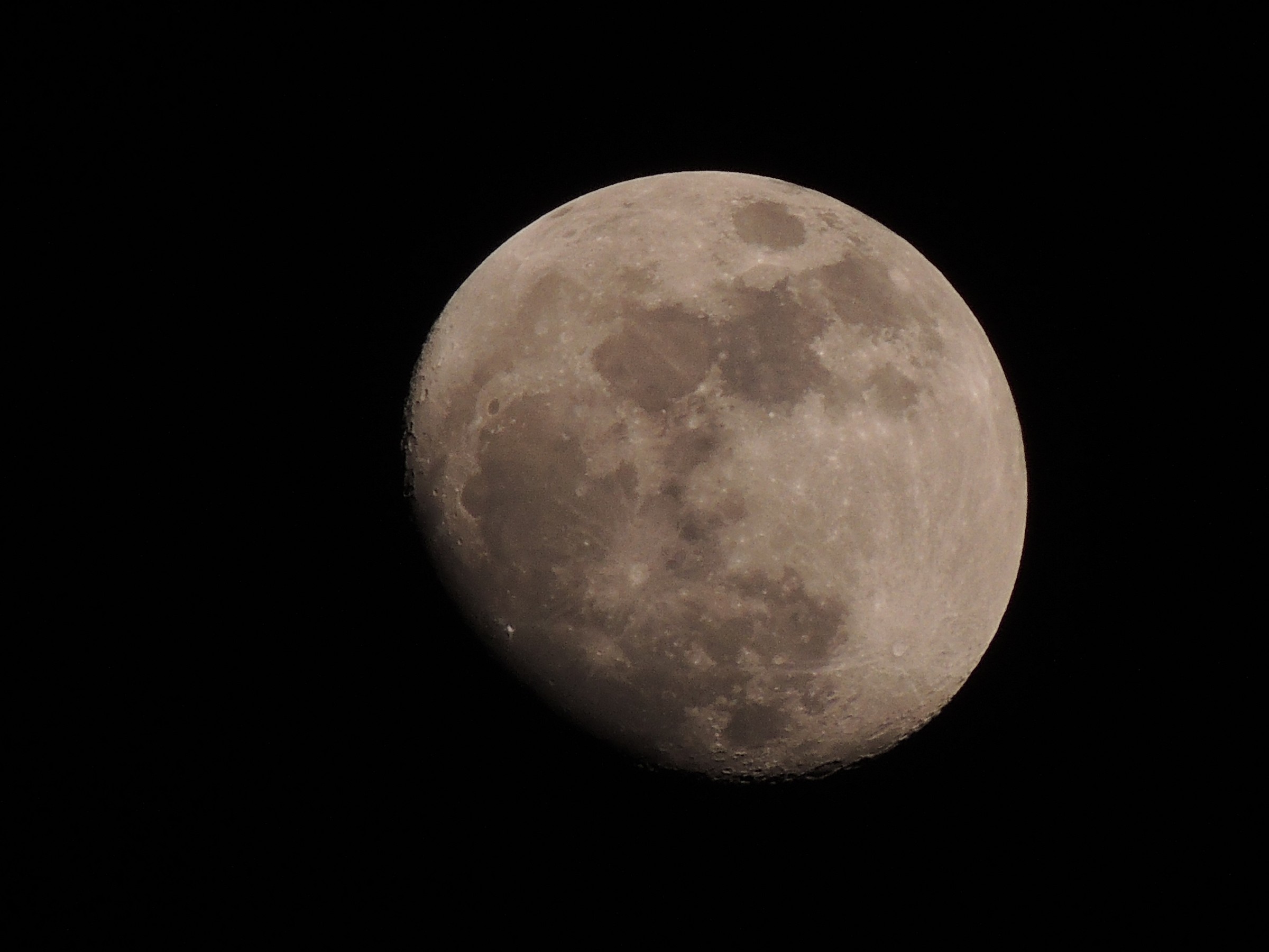 Luna 13/03/2014