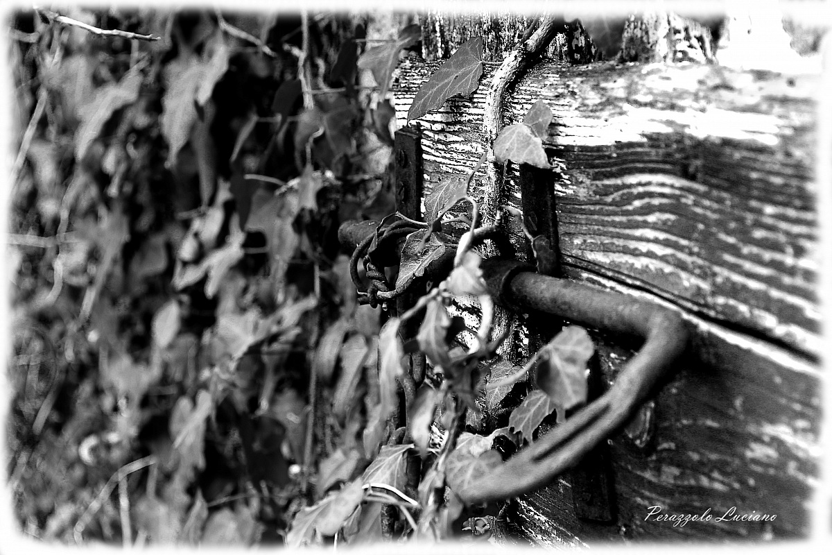 never close the door of the heart