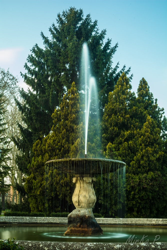 Fontana Parco Massari