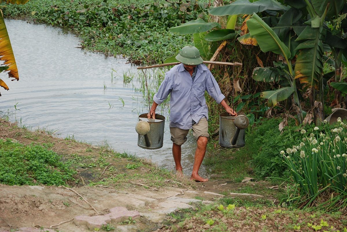 vietnam agricultural