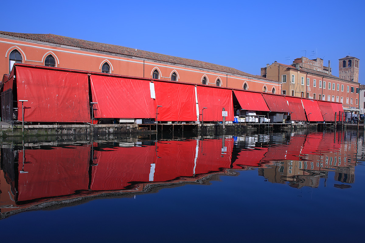 The fish market in Chioggia
