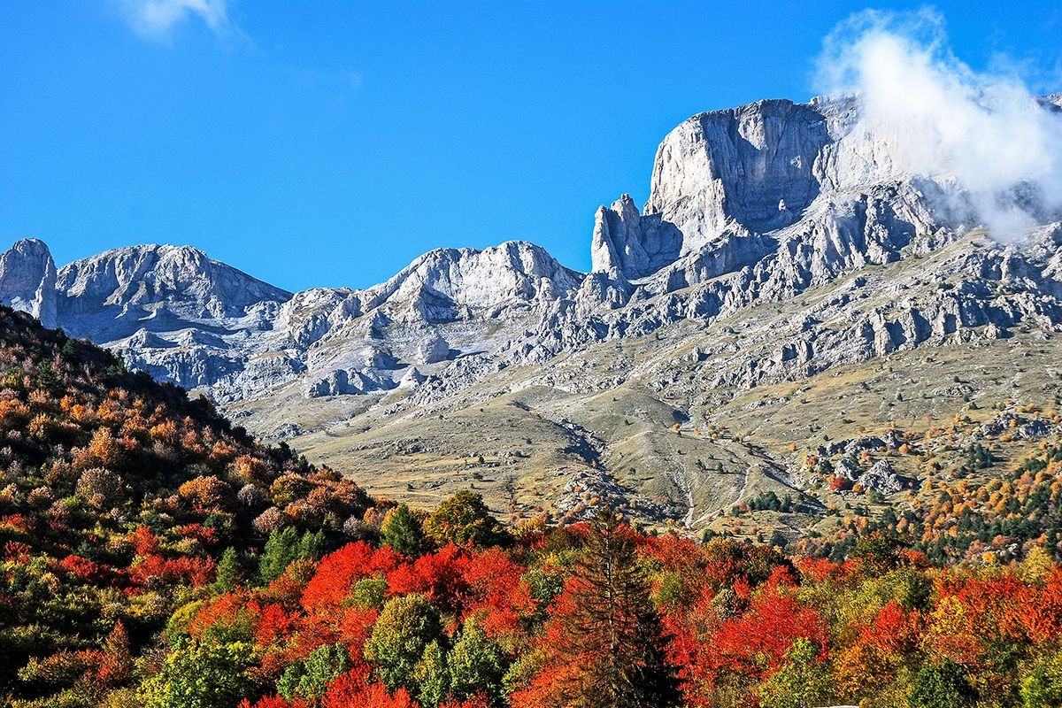 Autunno a Viozene (cn)