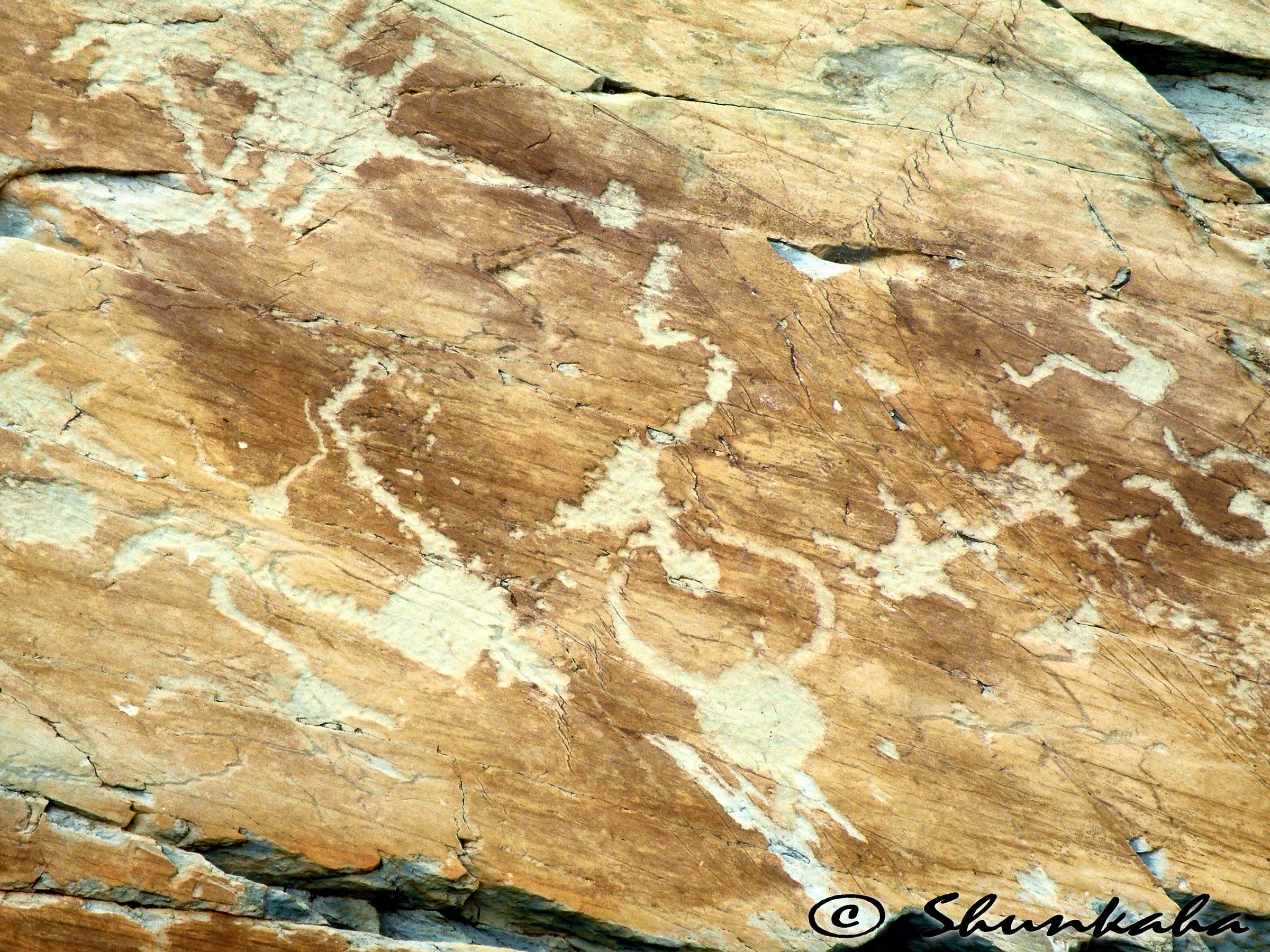 Fontanalba - La via Sacra (particolare)