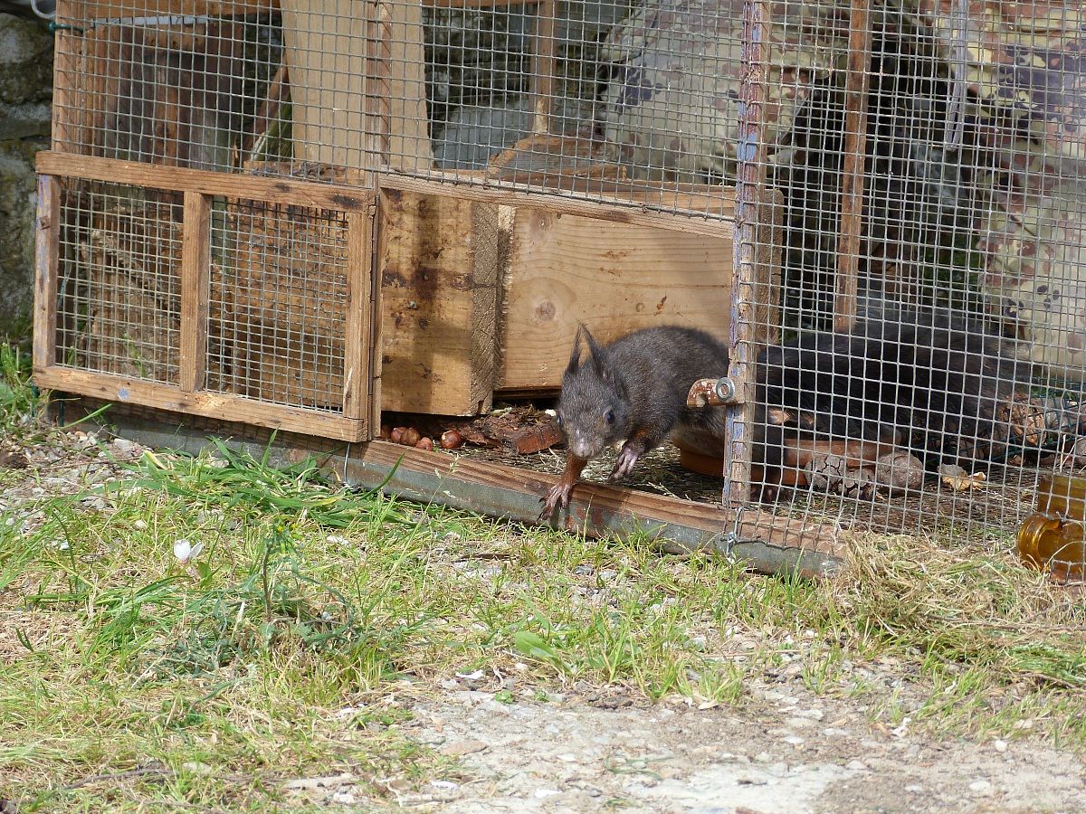 Una piccola saetta...