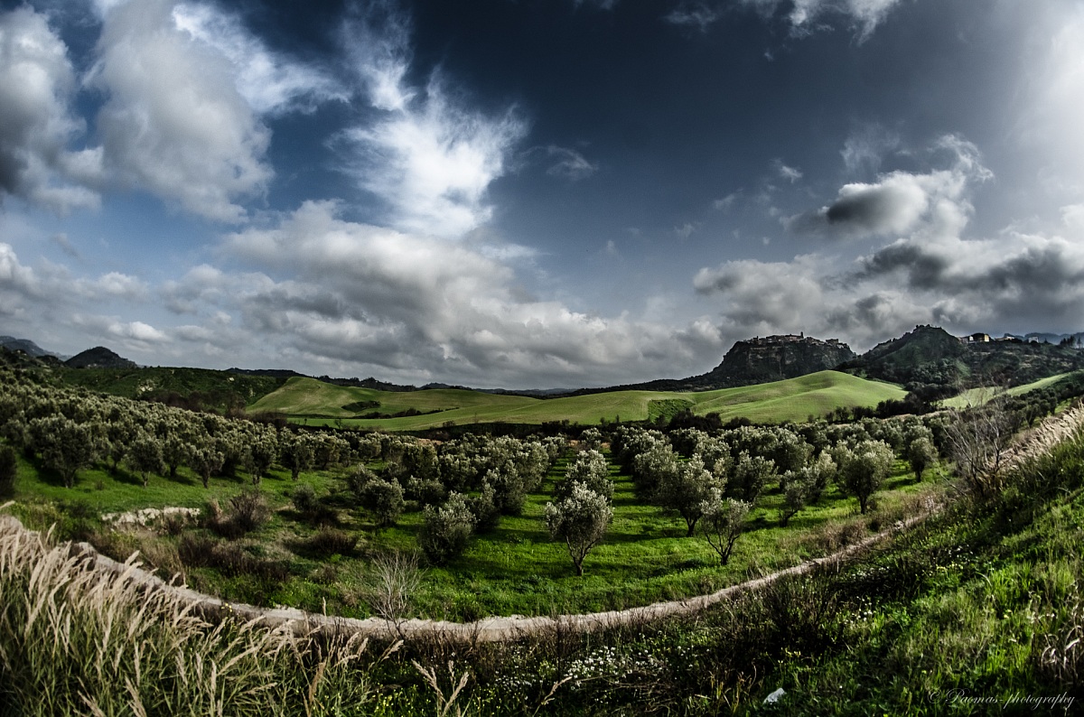 campagna calabrese