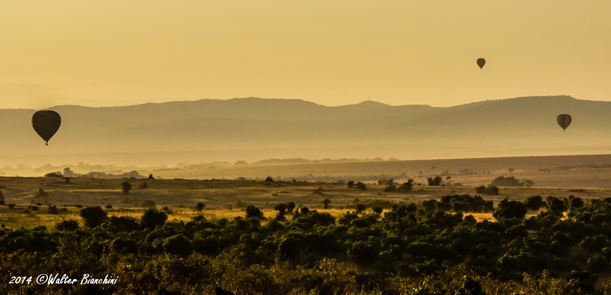 hot air balloons on mara