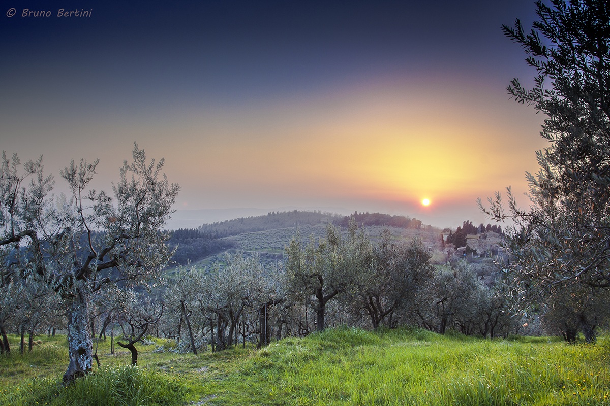 Tramonto da Monte Morello