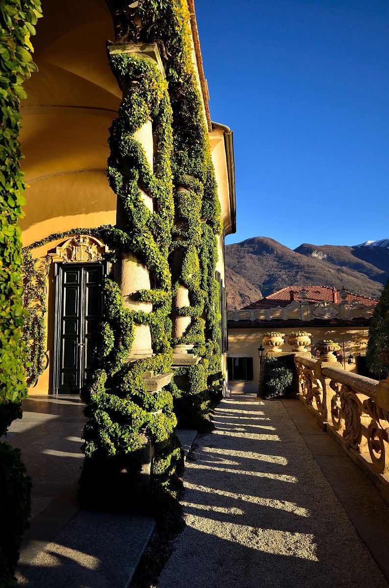 Serpenti sul muro (3)